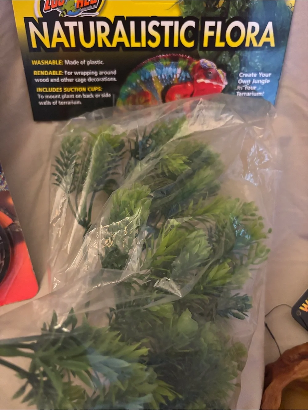 Naturalistic Flora - Green Reptile Habitat Plant